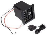 ESX POWER2 – Module Actif Class D pour Caisson de Subwoofer ESX