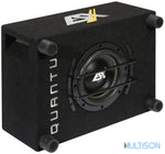 ESX QXB6 - Caisson de Basses Bass-Reflex Ultra-Compact 16.5cm ESX