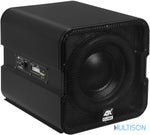 ESX V1600A – Système de Subwoofer Actif 20 cm avec Subwoofer Passif ESX