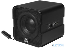 ESX V1600A – Système de Subwoofer Actif 20 cm avec Subwoofer Passif ESX